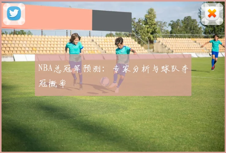 NBA总冠军预测：专家分析与球队夺冠概率