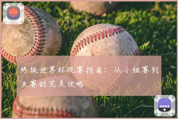 终极世界杯观赛指南：从小组赛到决赛的完美攻略