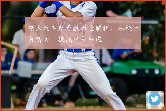 湖人近年新秀数据全解析：从统计看潜力，挑战中寻机遇